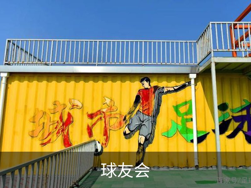 球友会概况