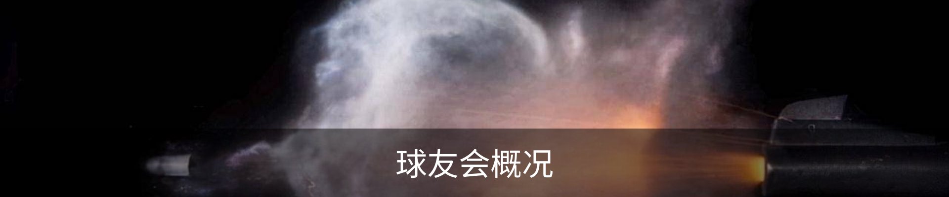 球友会概况